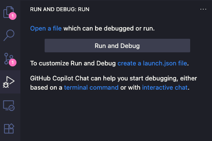 vscode_debug_config_init